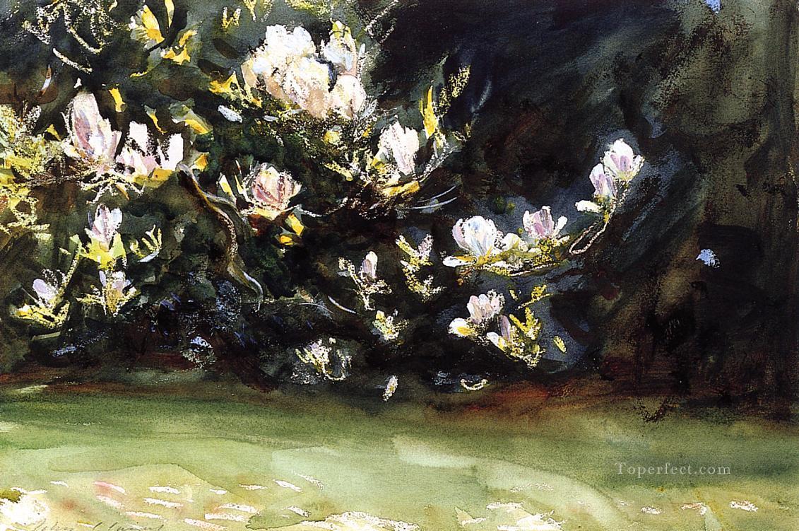 Magnolias John Singer Sargent Pintura al óleo